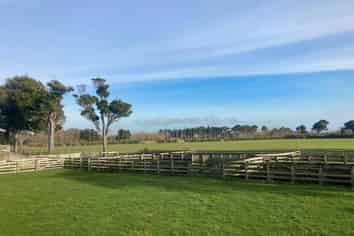 224 Wyndham Letterbox Road, Wyndham Surrounds