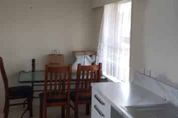 22 Wilson Street, Hamilton East