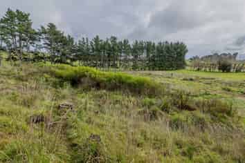 500A Foxton Shannon Road, Foxton