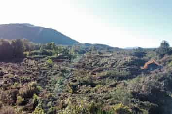  Lots 4086, 4115, 4116 4559 Atarau Road, Atarau