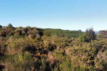  Lots 4086, 4115, 4116 4559 Atarau Road, Atarau