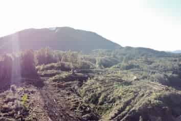  Lots 4086, 4115, 4116 4559 Atarau Road, Atarau