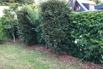 Waikato - Address withheld