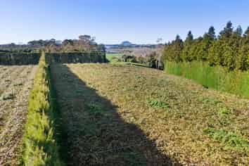 40 Clarke Road, Te Puna