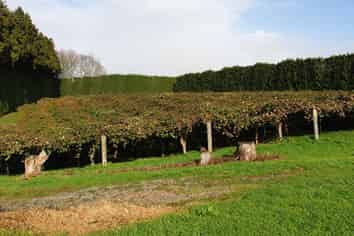 40 Clarke Road, Te Puna