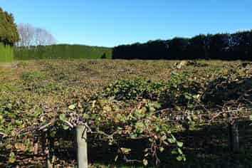 40 Clarke Road, Te Puna