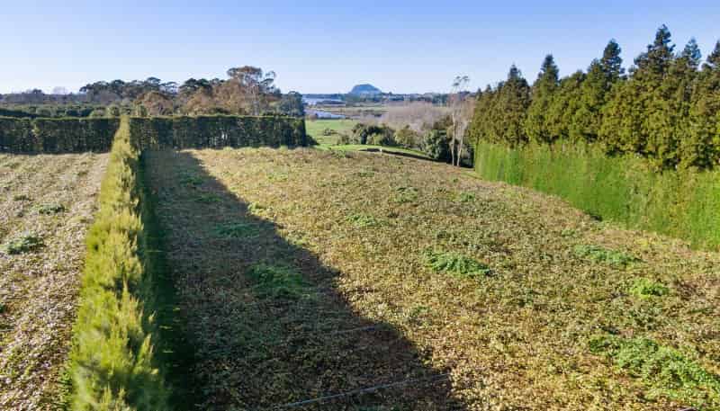 40 Clarke Road, Te Puna