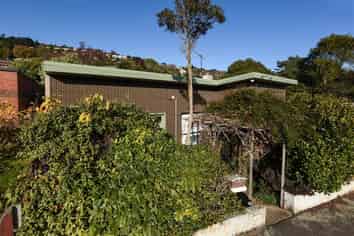 7 Carlton Street, North East Valley