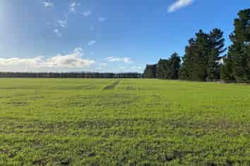  Purchas Road, Amberley