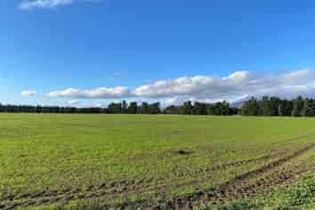  Purchas Road, Amberley