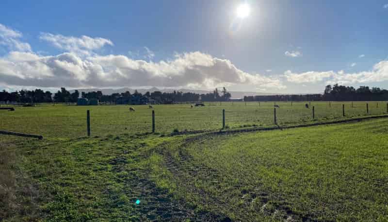  Purchas Road, Amberley