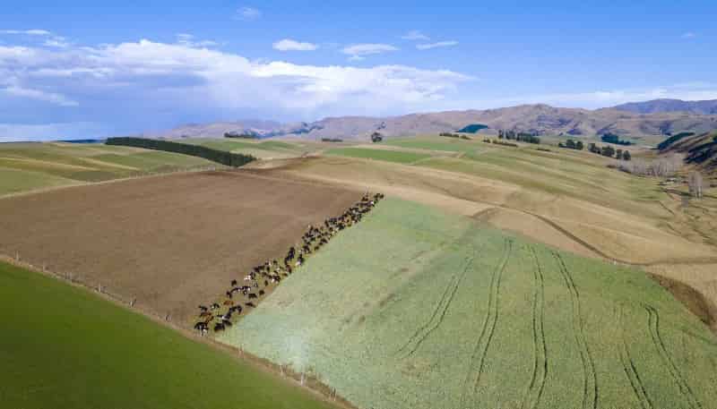 97 Whiteman Road, Albury