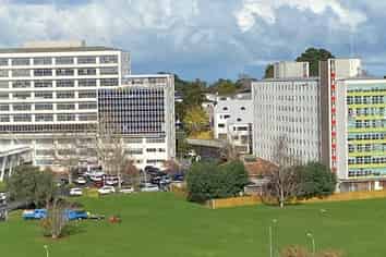 702/223A Greenlane West, Epsom