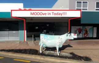 Moooove in today!