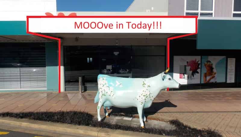 226 Thames Street, Morrinsville