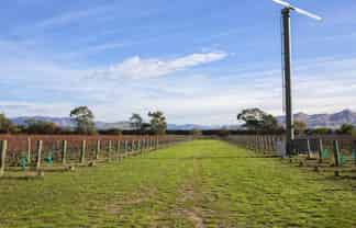 undefined - Address withheld