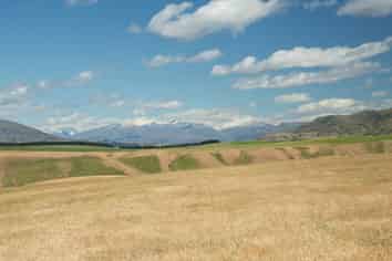 102 Ruffell Road, Cromwell