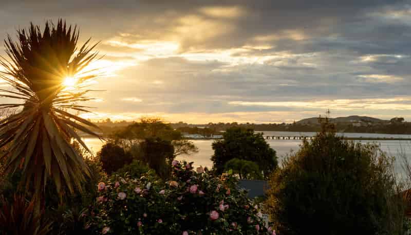 41 Hampton Terrace, Parkvale