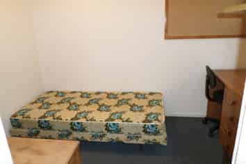 133 Harbour Terrace, North Dunedin