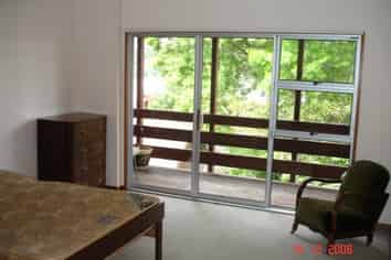 117C Queen Street, North Dunedin