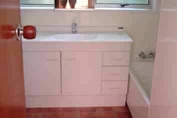 117C Queen Street, North Dunedin