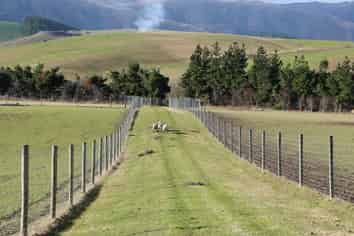 89 Mount Michael Road, Fairlie