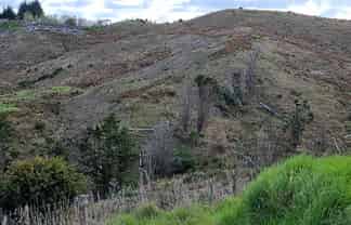 Northland - Address withheld