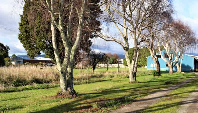 15,17,19 Mabel Street, Levin