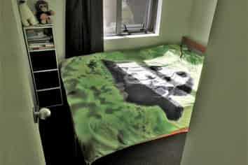 2F/113 Vincent Street, Auckland Central