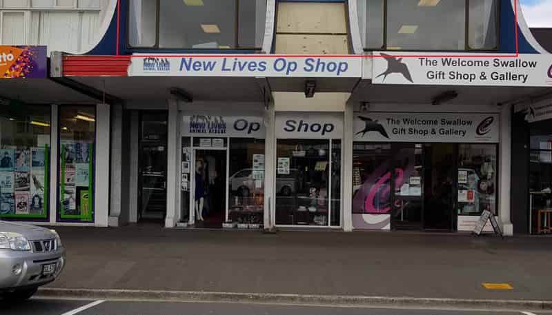 390 Grey Street, Hamilton East