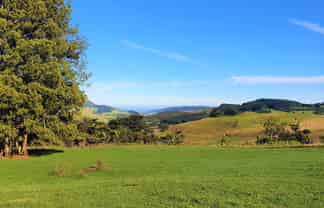 535 + 533 Taita Road, 