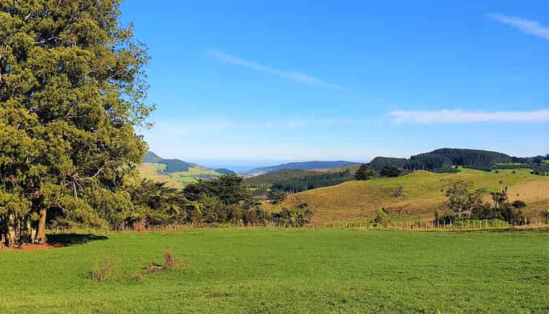 535 + 533 Taita Road, 