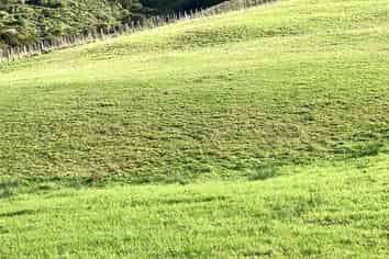 Auckland - Address withheld