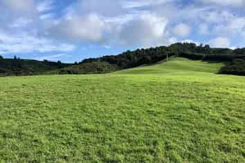 Auckland - Address withheld