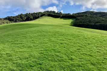 Auckland - Address withheld