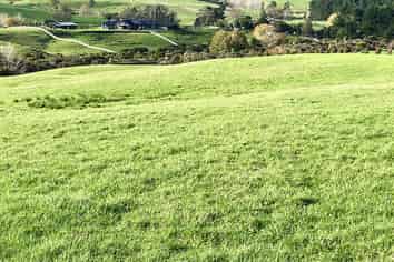 Auckland - Address withheld