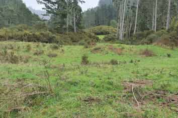 747C No 4 Road, Te Puke