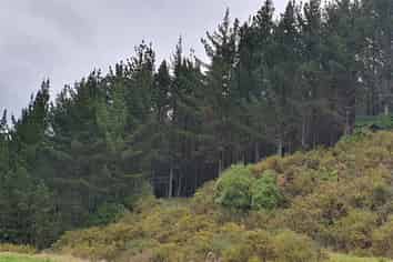 747C No 4 Road, Te Puke