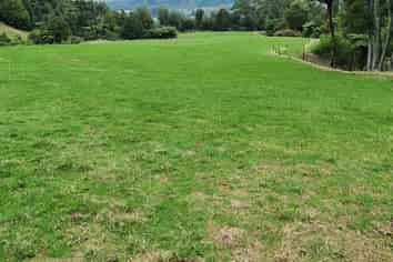 747C No 4 Road, Te Puke