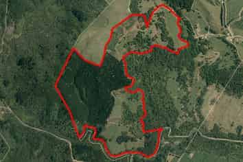 747C No 4 Road, Te Puke