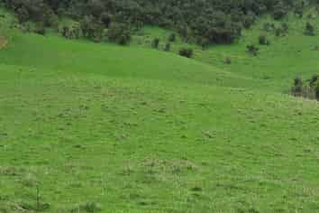 747C No 4 Road, Te Puke