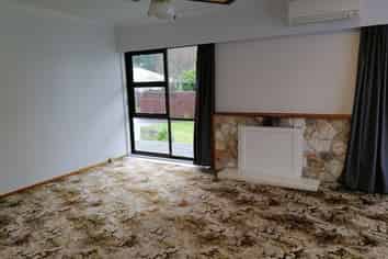 38A Brooklyn Road, Claudelands