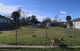 Develop Till Your Hearts Content