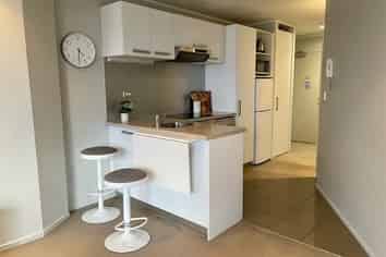 156 Vincent Street, Auckland Central