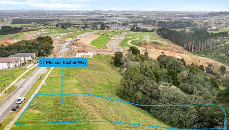 17 Michael Bosher Way, Flat Bush