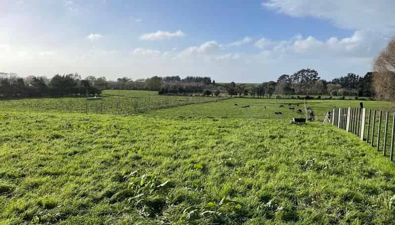 A & B/95 Stafford Street, Shannon