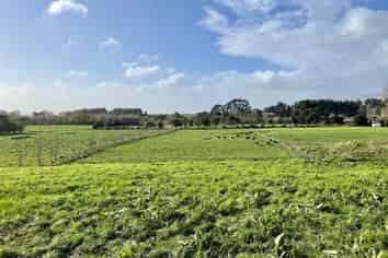 A & B/95 Stafford Street, Shannon