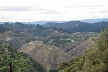  Rangitatau East Road, Paparangi