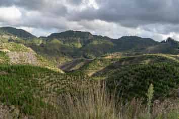  Rangitatau East Road, Paparangi