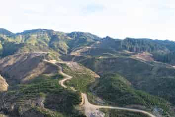  Rangitatau East Road, Paparangi